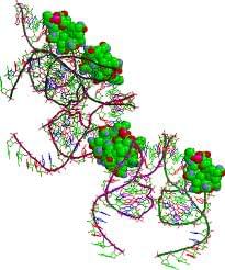 RNA Aptamer